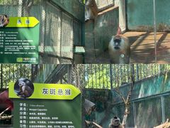 -宁波野生动物园