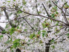 -国际非物质文化遗产博览园