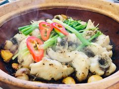 招牌焗多宝鱼-美极鲜食坊(宝安南路店)