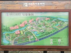 -田园东方蜜桃村的田野营地