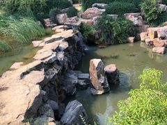 -天鹅湖体育公园