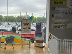 -上海浦东smart汽车全功能店(金桥店)