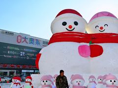-盛京大奥莱(沈阳奥体店)