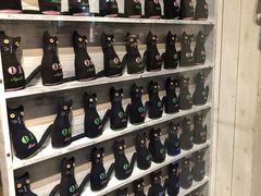 -猫咪博物馆(顶澳仔猫街店)