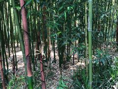 -荆川公园