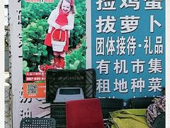 -大自然农场蔬菜草莓采摘园