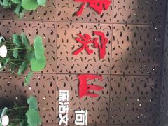 -陈家山荷花公园
