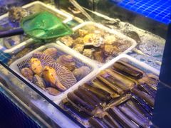 -捞围鲜·港式打边炉(海阳路店)