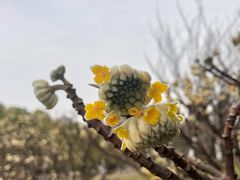 -白塘生态植物园