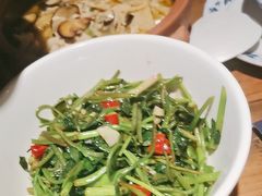 -寨子里的钵钵菜-湘西山里菜(火车站店)