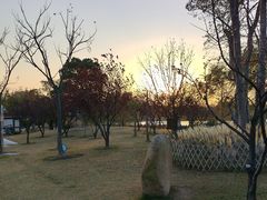 -上海长兴岛郊野公园