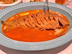 -阿五黄河大鲤鱼(建业路店)