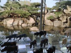 -罗红摄影艺术馆