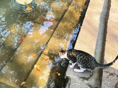 -西园寺素食(西园弄戒幢律寺店)