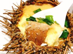 海胆蒸蛋-新海渔港·胶东海鲜家常菜·家宴(奥体中心店)