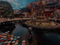 -上海东林寺(金山区)