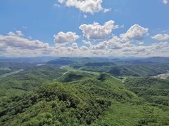 -天女山森林公园