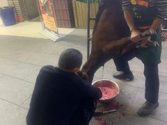 -正宗简阳一品鲜羊肉汤(金河路店)