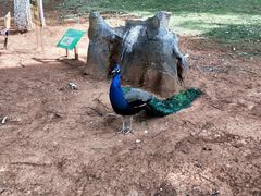 -昆明动物园