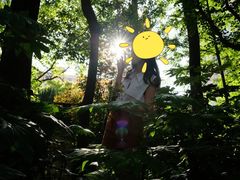 -上海安亭别墅花园酒店