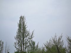 -同里国家湿地公园