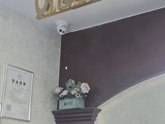 -宠爱国际动物医院·疑难骨科·心肾内科·皮肤科(太阳宫店)