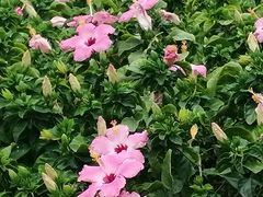 -新梦百货(民族店)