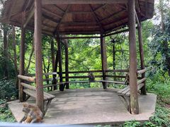 -重庆雨台山风景区