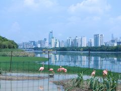 -南宁南湖公园