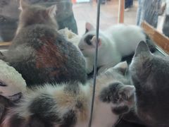 -万达广场(松江店)