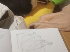 -逗柴咖啡屋·狗咖猫咖宠物桌游