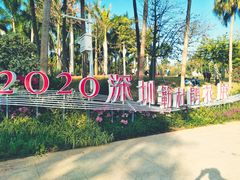 -莲花山公园