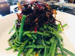 昭通椒丝油鸡枞麦瓜尖-泓0871臻选云南菜·味庄