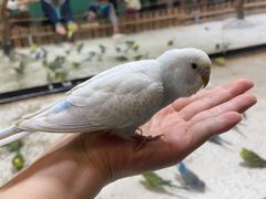 -上海大自然野生昆虫馆(东方明珠·爬宠昆虫探索中心)