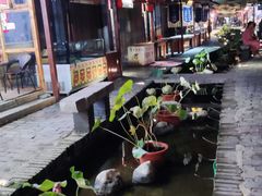 -茯茶镇