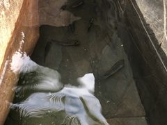 -三亚珠江南田温泉度假区