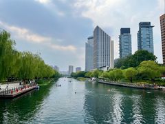 -鸽子窝(宋庄店)