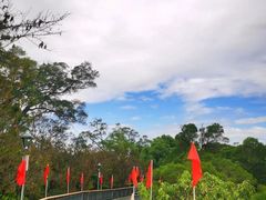-金鸡山公园