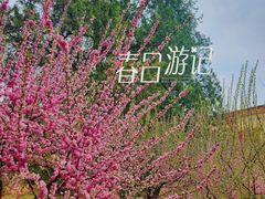 -香山公园