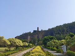 -南沙蒲洲花园