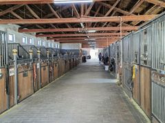 -北京群众马术培训基地