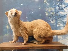 -下渚湖国家湿地公园科普馆