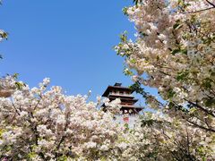 -古柏渡飞黄旅游区