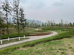 -桂溪生态公园