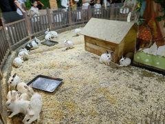-秦皇岛新澳海底世界