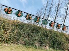 -前小桔亲子创意农场·草莓采摘·露营烧烤