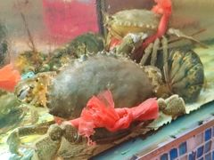 -巽寮印象美食部落餐厅·海鲜·地方特色菜(惠州体验店)