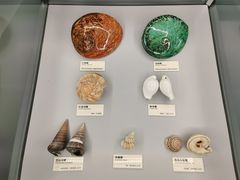 -天津古林古海岸遗迹博物馆