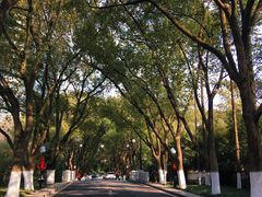 -无锡蠡湖国家湿地公园-蠡园