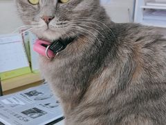 -宠福鑫动物医院(立水桥分院)